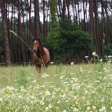 Prázdninový dům Petit Tachette *