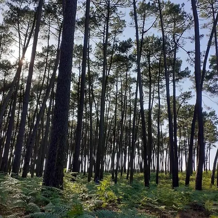 Petit Tachette Prázdninový dům Herm